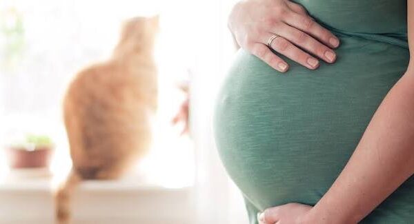 Toxoplasmoza